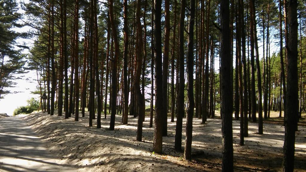 Apartamento Jauki Vieta Poilsiui Kunigiskese Palanga Exterior foto